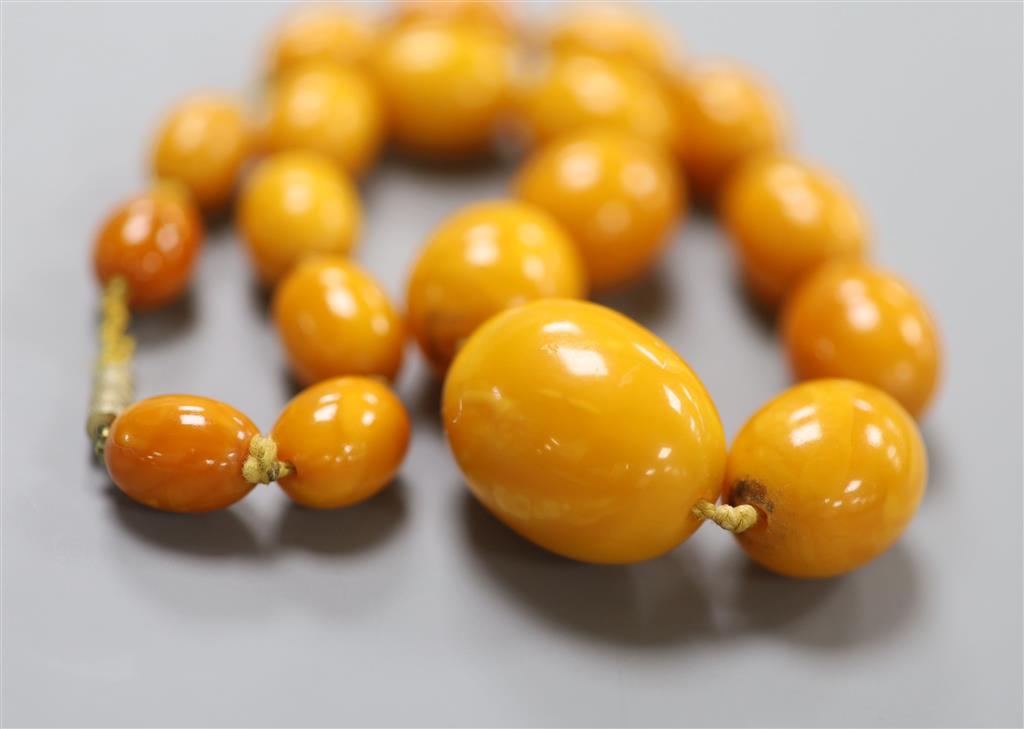 A single strand graduated oval amber bead necklace, 40cm, gross 46 grams.